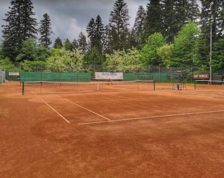 Tenis center Dolenjske Toplice, Alfred Kolner